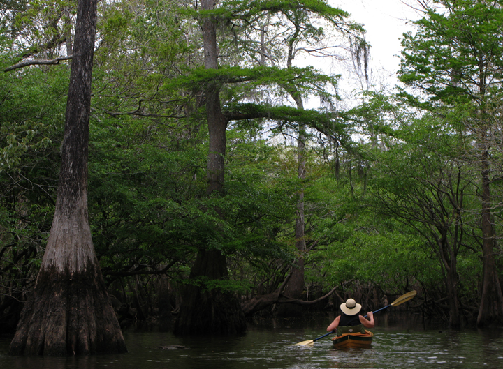 choctawhatcheeriver